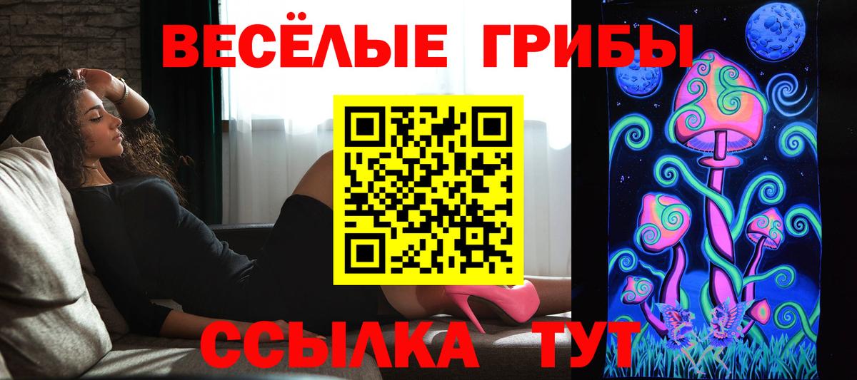 Серов  Галлюциногенные грибы Psilocybine cubensis  Вход с VPN 